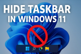 How to Hide the Taskbar in Windows 11 [Top 3 Methods]